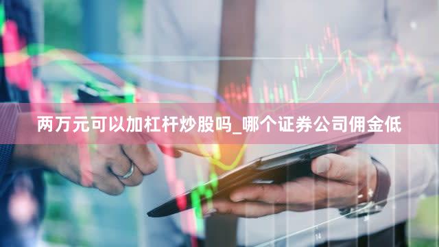 两万元可以加杠杆炒股吗_哪个证券公司佣金低