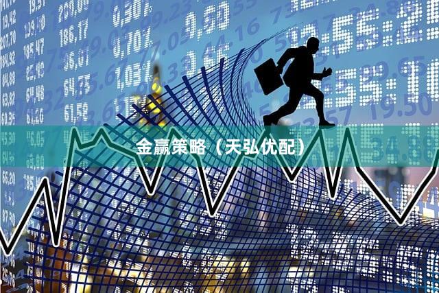 金赢策略（天弘优配）