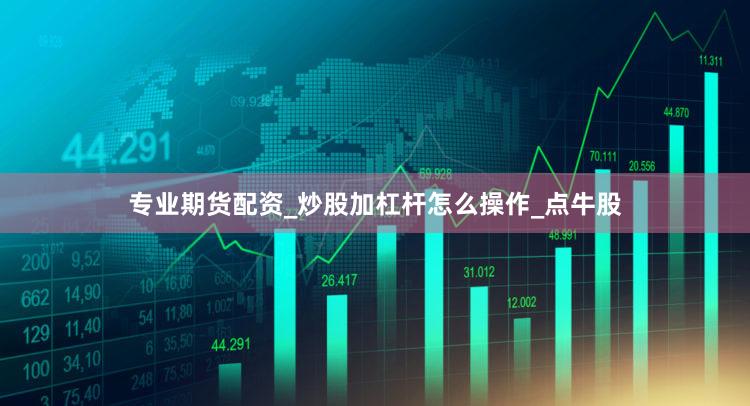 专业期货配资_炒股加杠杆怎么操作_点牛股