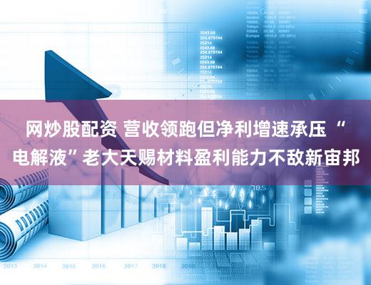 网炒股配资 营收领跑但净利增速承压 “电解液”老大天赐材料盈利能力不敌新宙邦
