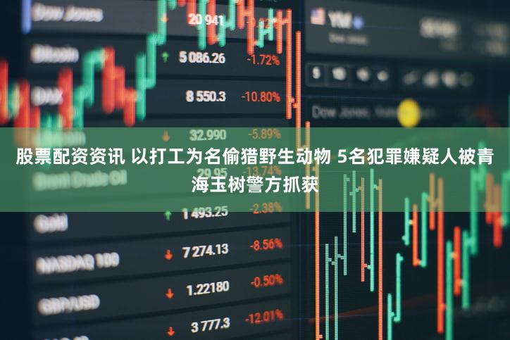 股票配资资讯 以打工为名偷猎野生动物 5名犯罪嫌疑人被青海玉树警方抓获