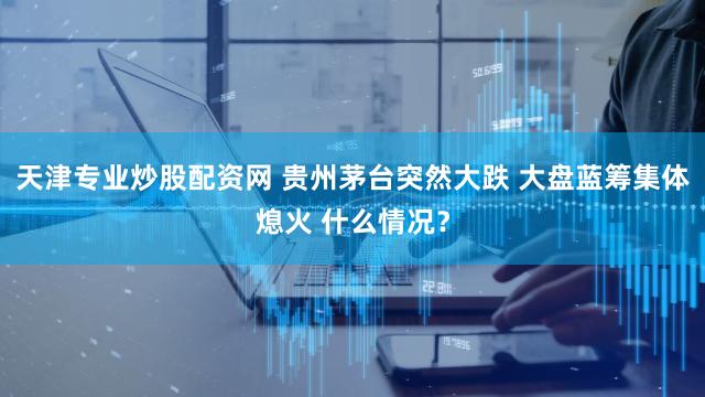 天津专业炒股配资网 贵州茅台突然大跌 大盘蓝筹集体熄火 什么情况?