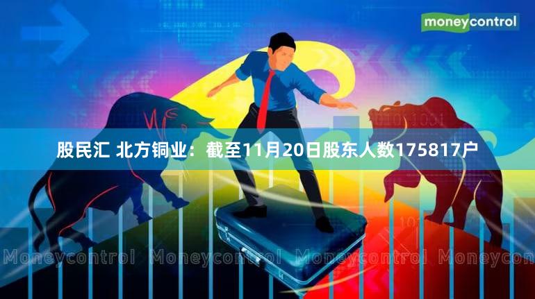 股民汇 北方铜业：截至11月20日股东人数175817户