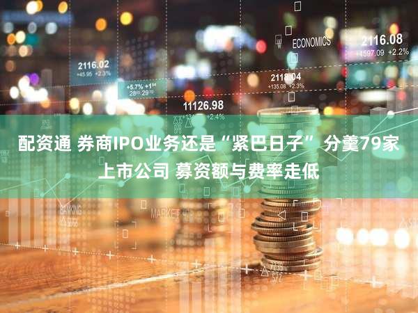 配资通 券商IPO业务还是“紧巴日子” 分羹79家上市公司 募资额与费率走低