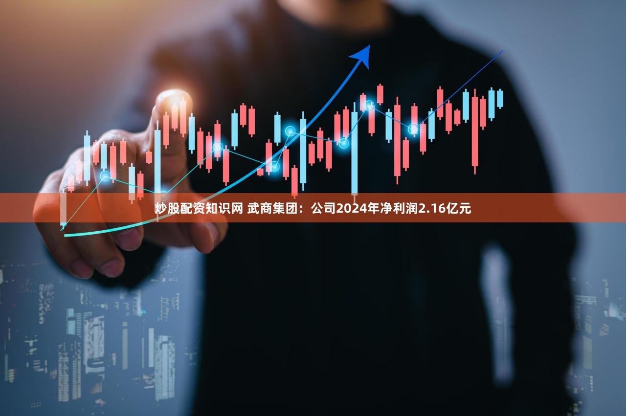 炒股配资知识网 武商集团:公司2024年净利润2.16亿元