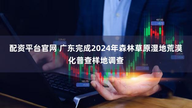 配资平台官网 广东完成2024年森林草原湿地荒漠化普查样地调查